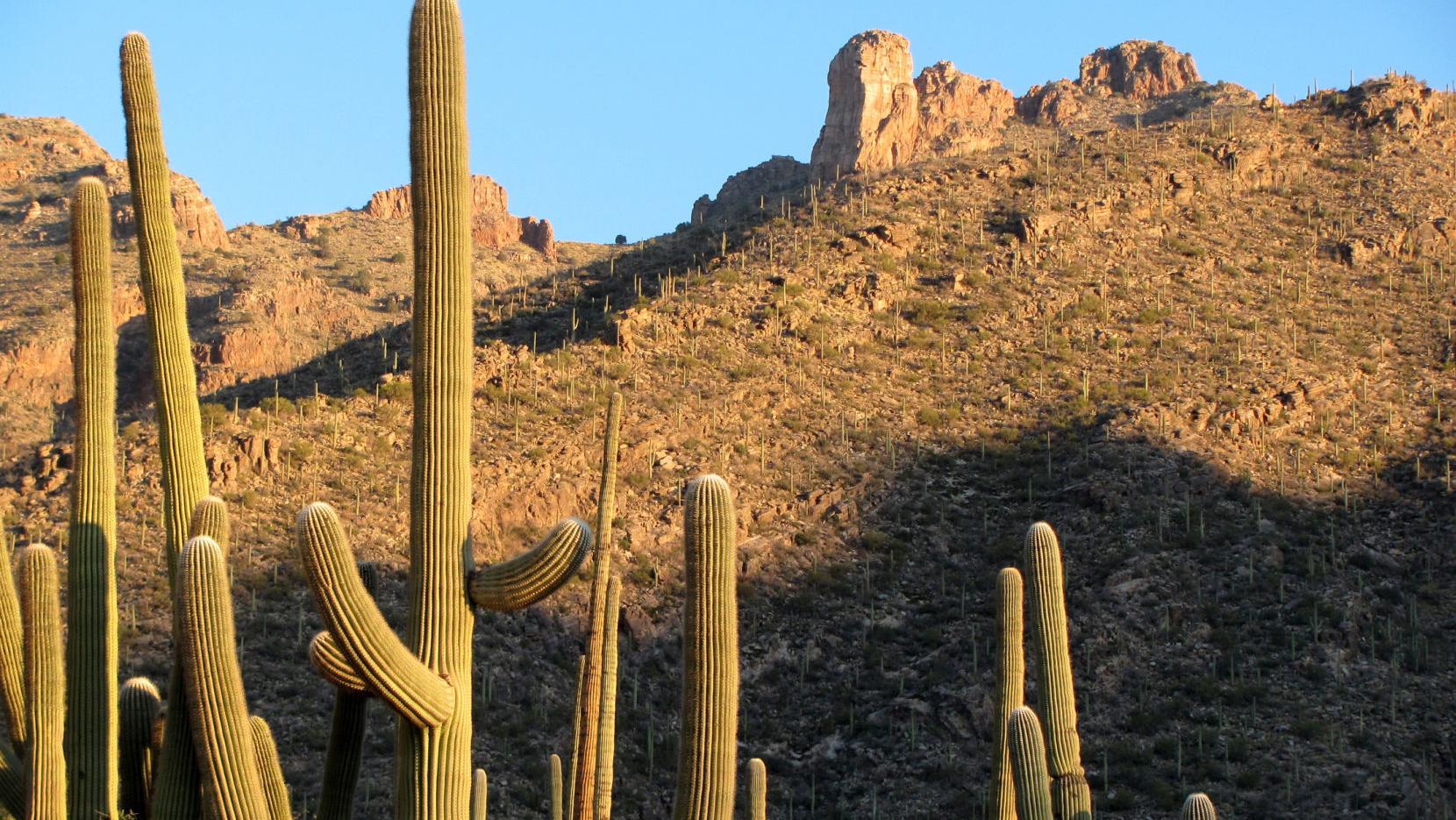 Tucson weather: Still hot, but chance of rain at end of week
